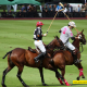 Understand the Fundamentals of Polo Rules for Beginners